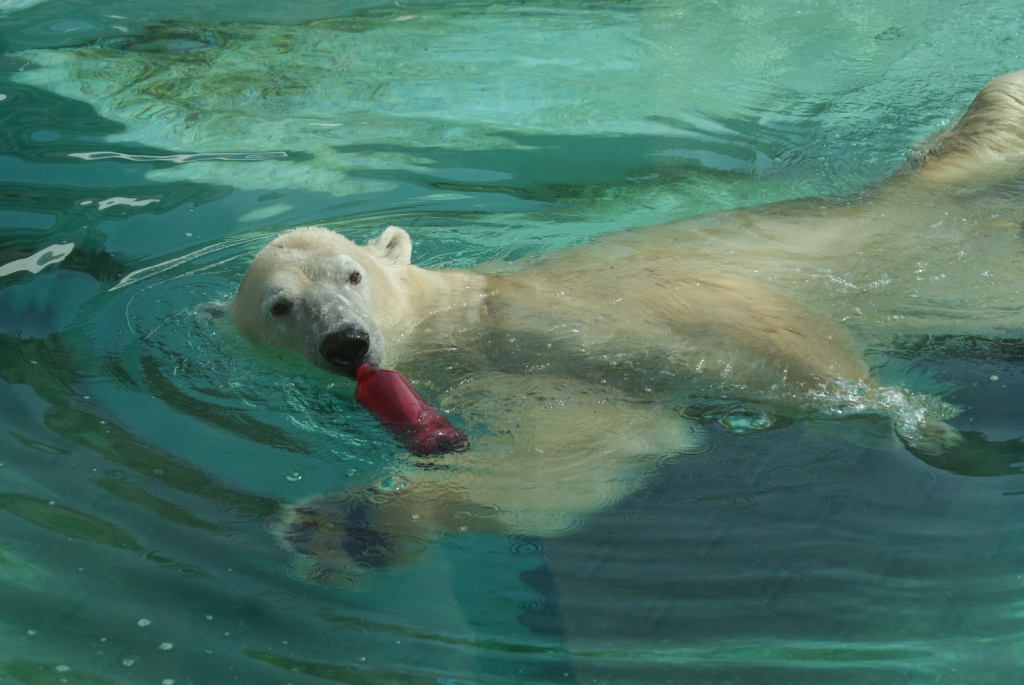 ������� ��������DSC06672.jpg